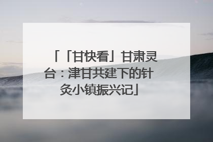 「甘快看」甘肃灵台：津甘共建下的针灸小镇振兴记