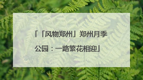 「风物郑州」郑州月季公园：一路繁花相迎