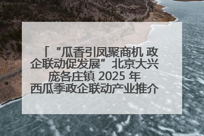 “瓜香引凤聚商机 政企联动促发展”北京大兴庞各庄镇 2025 年西瓜季政企联动产业推介活动圆满举行