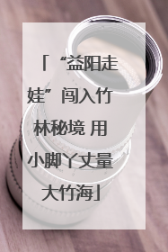 “益阳走娃”闯入竹林秘境 用小脚丫丈量大竹海