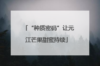 “种质密码”让元江芒果甜蜜持续
