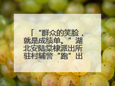 “群众的笑脸，就是成绩单。”湖北安陆棠棣派出所驻村辅警“跑”出幸福加速度