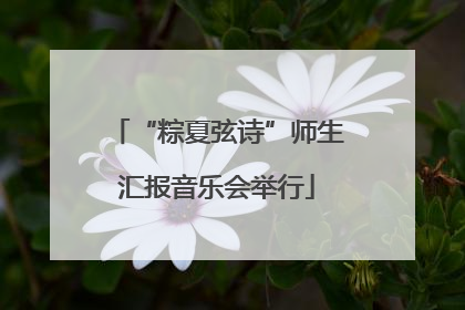 “粽夏弦诗”师生汇报音乐会举行