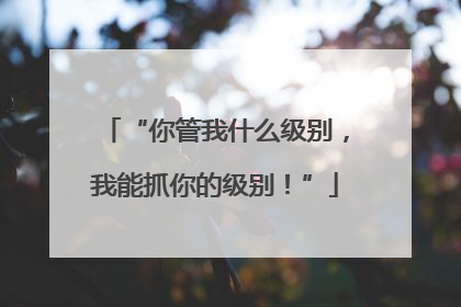 “你管我什么级别，我能抓你的级别！”
