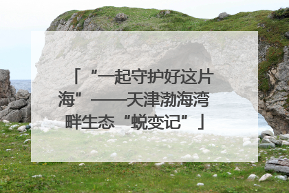 “一起守护好这片海”——天津渤海湾畔生态“蜕变记”