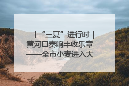 “三夏”进行时｜黄河口奏响丰收乐章——全市小麦进入大面积收获高峰期