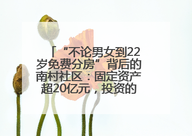 “不论男女到22岁免费分房”背后的南村社区：固定资产超20亿元，投资的影视基地被称为“山村好莱坞”