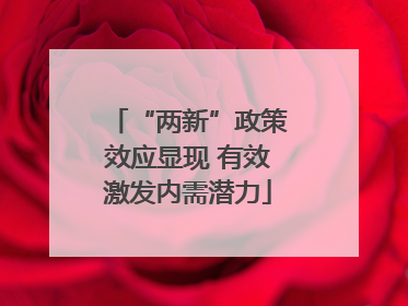 “两新”政策效应显现 有效激发内需潜力