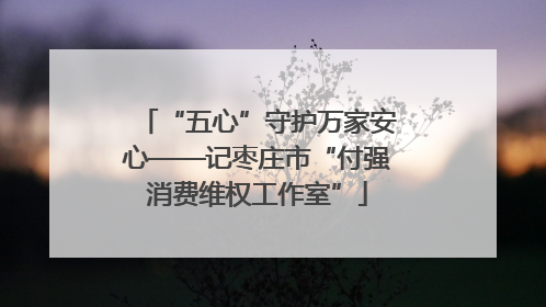 “五心”守护万家安心——记枣庄市“付强消费维权工作室”