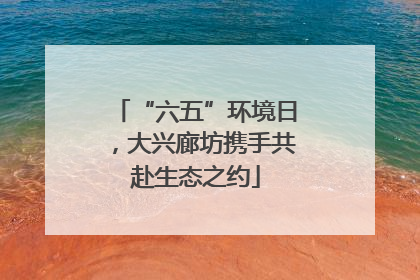 “六五”环境日，大兴廊坊携手共赴生态之约