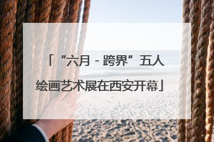“六月 - 跨界”五人绘画艺术展在西安开幕