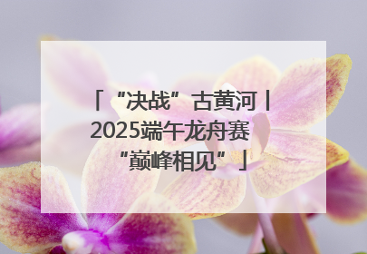 “决战”古黄河丨2025端午龙舟赛“巅峰相见”