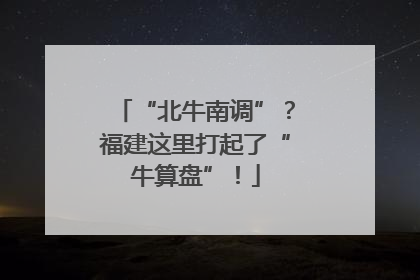 “北牛南调”？福建这里打起了“牛算盘”！