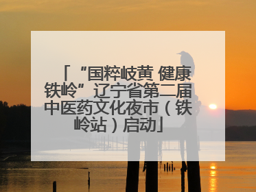 “国粹岐黄 健康铁岭”辽宁省第二届中医药文化夜市（铁岭站）启动