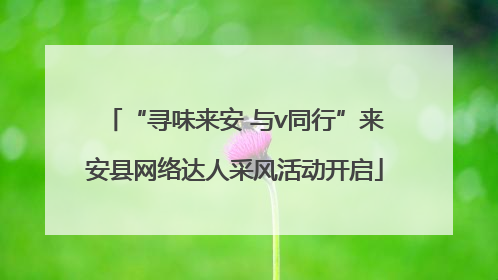 “寻味来安 与v同行”来安县网络达人采风活动开启