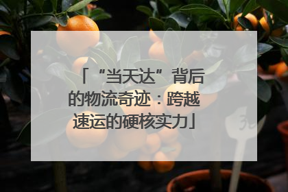 “当天达”背后的物流奇迹：跨越速运的硬核实力