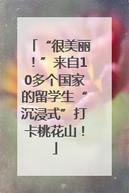 “很美丽！”来自10多个国家的留学生“沉浸式”打卡桃花山！