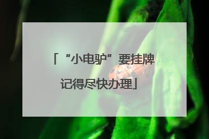 “小电驴”要挂牌 记得尽快办理