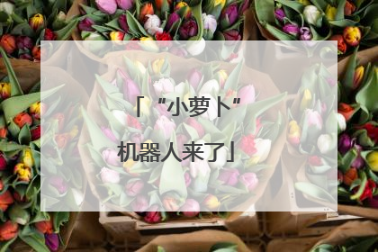 “小萝卜”机器人来了