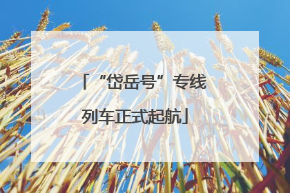 “岱岳号”专线列车正式起航