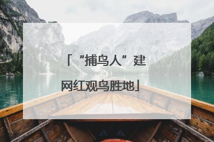 “捕鸟人”建网红观鸟胜地