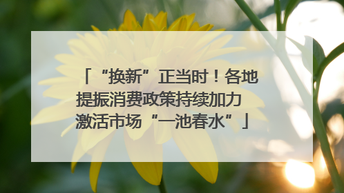“换新”正当时！各地提振消费政策持续加力 激活市场“一池春水”