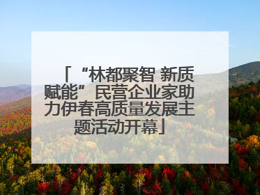 “林都聚智 新质赋能”民营企业家助力伊春高质量发展主题活动开幕