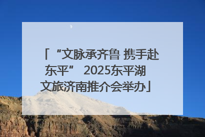 “文脉承齐鲁 携手赴东平” 2025东平湖文旅济南推介会举办