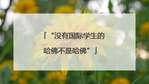 “没有国际学生的哈佛不是哈佛”