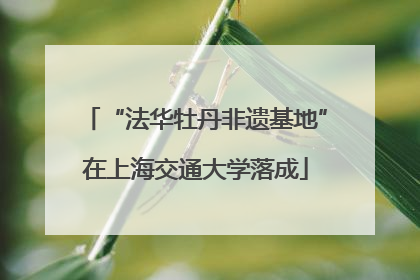 “法华牡丹非遗基地”在上海交通大学落成