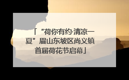 “荷你有约·清凉一夏”眉山东坡区尚义镇首届荷花节启幕