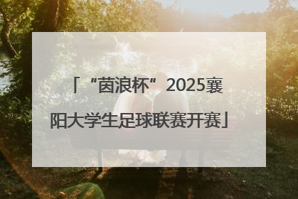 “茵浪杯”2025襄阳大学生足球联赛开赛