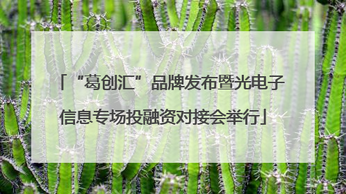 “葛创汇”品牌发布暨光电子信息专场投融资对接会举行