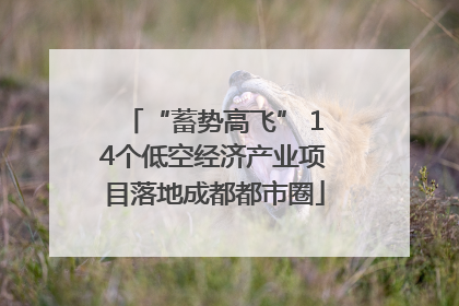 “蓄势高飞” 14个低空经济产业项目落地成都都市圈