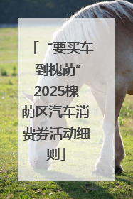 “要买车 到槐荫”2025槐荫区汽车消费券活动细则