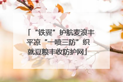 “铁翼”护航麦浪丰 平凉“一喷三防”织就夏粮丰收防护网