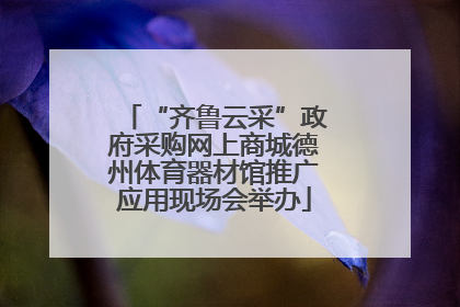 “齐鲁云采”政府采购网上商城德州体育器材馆推广应用现场会举办