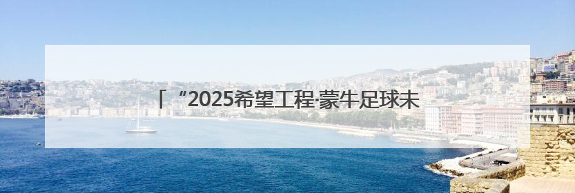 “2025希望工程·蒙牛足球未来星公益行”临沂站选拔圆满举行