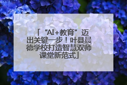 “AI+教育”迈出关键一步！叶县晨德学校打造智慧双师课堂新范式