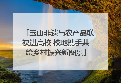 玉山非遗与农产品联袂进高校 校地携手共绘乡村振兴新图景
