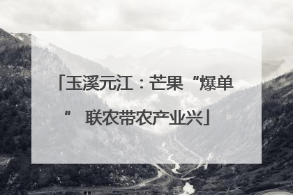 玉溪元江：芒果“爆单” 联农带农产业兴