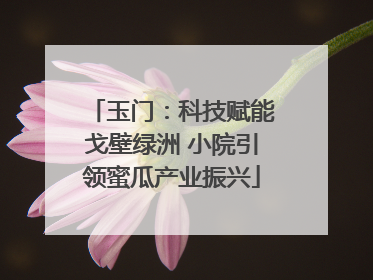 玉门：科技赋能戈壁绿洲 小院引领蜜瓜产业振兴