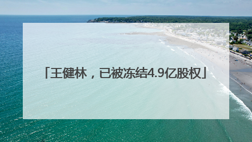 王健林，已被冻结4.9亿股权