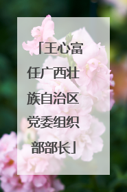 王心富任广西壮族自治区党委组织部部长