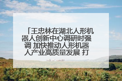 王忠林在湖北人形机器人创新中心调研时强调 加快推动人形机器人产业高质量发展 打造具有全国影响力的研发创新基地