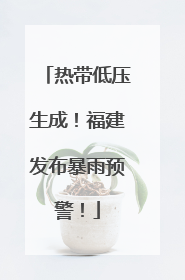 热带低压生成！福建发布暴雨预警！