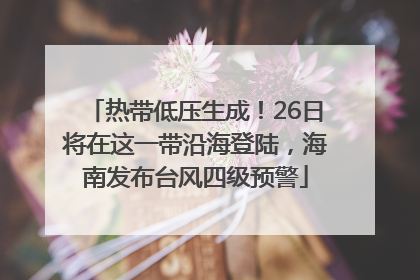 热带低压生成！26日将在这一带沿海登陆，海南发布台风四级预警