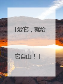 爱它，就给它自由！