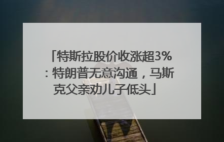 特斯拉股价收涨超3%：特朗普无意沟通，马斯克父亲劝儿子低头