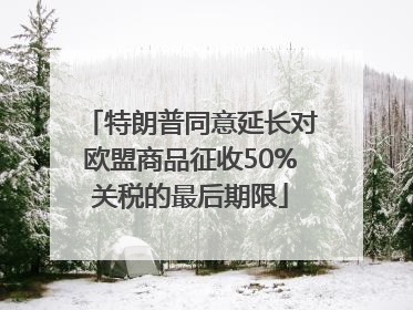 特朗普同意延长对欧盟商品征收50%关税的最后期限
